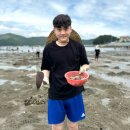 남해 쏙잡이 조개캐기 이색데이트 갯벌체험 금촌갯벌체험 요금, 준비물, 꿀팁 후기