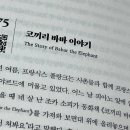 풀랑풀랑 이미지