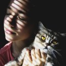 고담메이크업 이미지