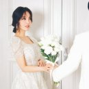 도화 티스토리