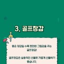 BEST 스크린골프 이미지