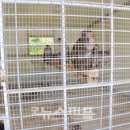 김문태농장 이미지