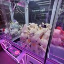 뽀꼬팡 사가정점 이미지