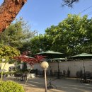 나라애견본점 | 청주 대형카페추천, 투더문 청주본점