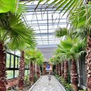 동읍1200 이미지