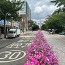 오목로4길 이미지