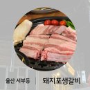 돼지포생갈비