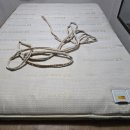 맥섬석으로 사는사람들 이미지