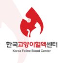 한국고양이혈액센터 이미지