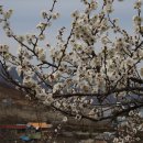 매향농장 이미지