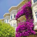 창가의 풍경 이미지