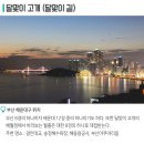 달맞이 이미지