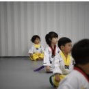 오즈태권도2관 이미지