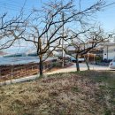 유창농장 이미지