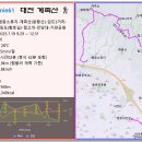 영희네전집