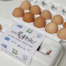 애란농장 이미지