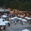 반딧불이 이미지