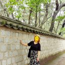 일원상회 이미지