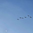 내사랑 빵순이 ^^ 이미지