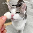 송파 마리동물병원 이미지