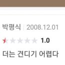 해피 댕 데이 네이버블로그