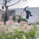 망양펜션 이미지