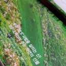 홍은농장 이미지