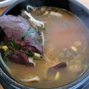 선지로 이미지