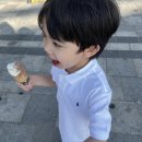 부자상회 | 경기 광명시장 부자상회 슈퍼마트 아이스크림 냉동고 2대 도매 납품 후기