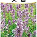 농업회사법인주식회사다농 이미지