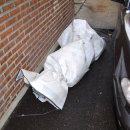 Body picnic 이미지