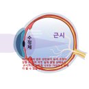 모먼트아이안경원 이미지