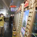 스타성인게임장 이미지