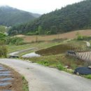 봉화목장 이미지