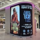 핑크하우스 이미지