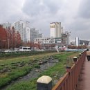 매우림학원