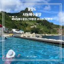울릉푸른나무 네이버블로그
