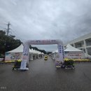 화개리 군민운동장 | 2025 영덕 명품 송이 장터 방문 후기