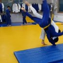 용인대 투혼 유도 클럽 이미지