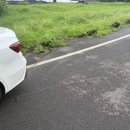 롯데공업사 | 제주도 롯데렌터카 사고 경험담 I 자차보험, 대기업 렌터카가 답인 이유