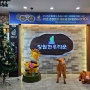 강원한우타운 이미지