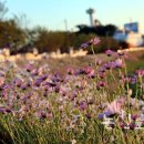 유교젓갈 이미지