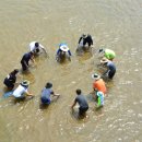 송이테마공원 주차장 이미지