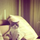 더파란 민박 이미지