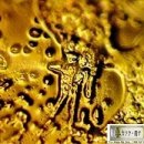 올젠테크놀로지 이미지