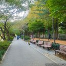 미사뚝방산책로 | 신안아파트) 황톳길(황토길)' &amp; '하남위례길2코스(위례강변길/당정뜰/메타세쿼이아길 등등 Info &amp; 후기)'
