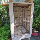 햇빛농장 | 보홀 나비농장 나비보호소 방문후기