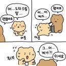 대현도서관 | 13. 그럼에도 불구하고, 11월