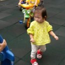 이리어린이집 놀이터 이미지