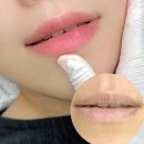 행정용 11번 | [일산 뷰티] 칙칙한 입술 안녕👋 아이브에서 오버립으로 생기찾은 리얼 후기 (내돈내산)